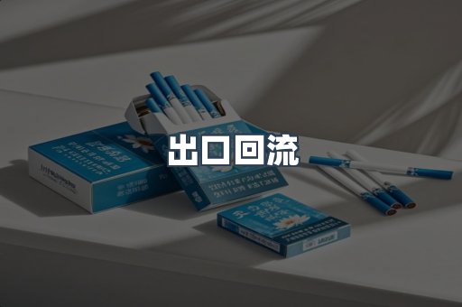 出口回流